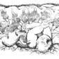 Rooted