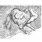 Tapeworm