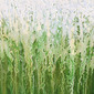 Grass Meets Sky