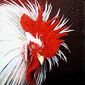 LITTLE RED ROOSTER ( SOLD )