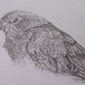 Kea