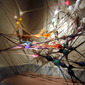 neurones-nature-net, net no.6