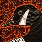 Goose