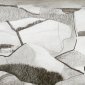 Fallen Fences   60 x 84 cms