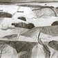 A Walk in the Snow   60 x 84 cms