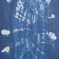 Fernando Fragua