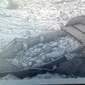 section of "Trash Island"