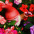 HaiiJeuss Photography