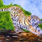 Tiger stretching