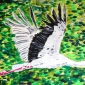 Stork in flight