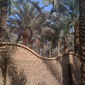 darshour 