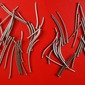 Bent Steel Nails 
