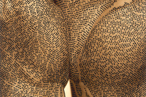 ronit bigal