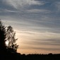 Early Evening