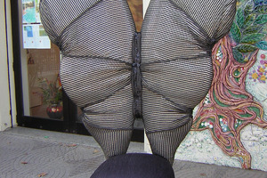 Sarita Nanni