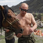 Brokeback Shields