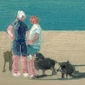 "Dog Beach"