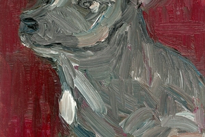 Dan Adams