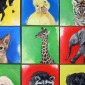 baby zoo