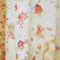 Curtain(1)