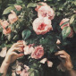 I like blooming flowers ,not just because of the beauty they bring, but also due to the spirits of their lives
