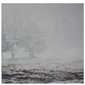 obscuration
