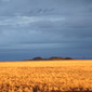 New Mexico #9