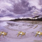 Three Identical Hares