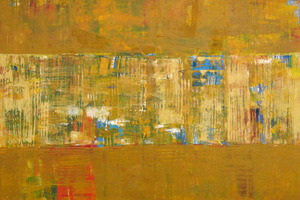Shawn Mcnulty