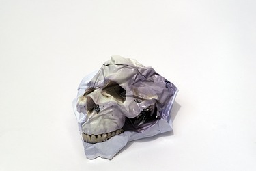 Collection Print is dead series; created by Paul Laidler