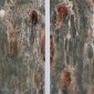 Untitled Diptych 1