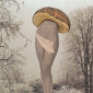 Avoir l' Herbot