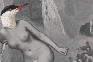Avoir l' Herbot