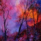 magic trees