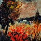 Autumn in Ardennes  67
