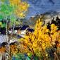 Spring 4521405