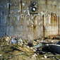 Wasteland 8