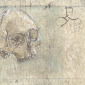 Vanité N°3
