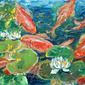 Koi