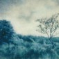 Field in Blue
