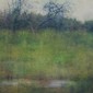The Clearing at Marsh's Edge