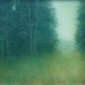 Pine Acre