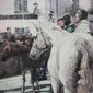 Horse Market, Kenmare, Ireland