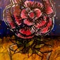 love rose 