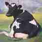 Jelsma Cow I
