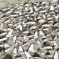 Shark Fins