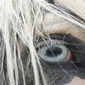 Paintball Eye