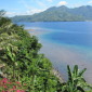 Tropical scenery 