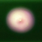 Pure Form