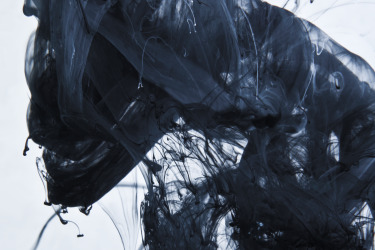Collection PHOTO; created by Fabien Martinet